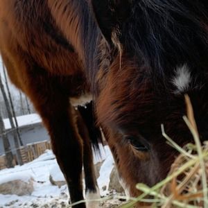 Meet your Posher, Katelynn